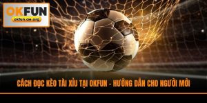 Cách Đọc Kèo Tài Xỉu Tại Okfun - Hướng Dẫn Cho Người Mới