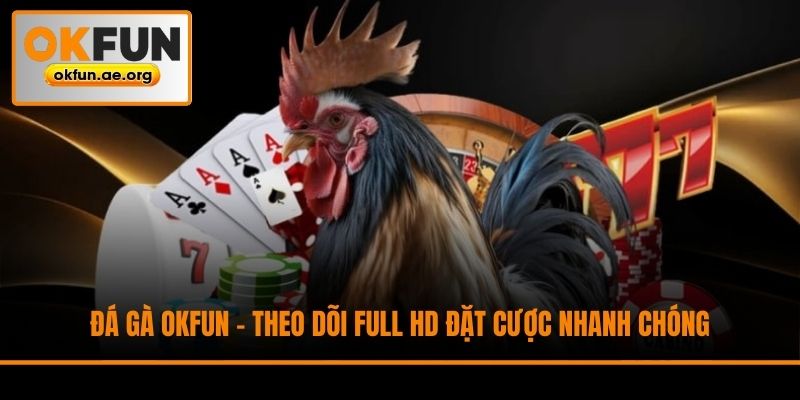 Đá Gà Okfun - Theo Dõi Full HD Đặt Cược Nhanh Chóng